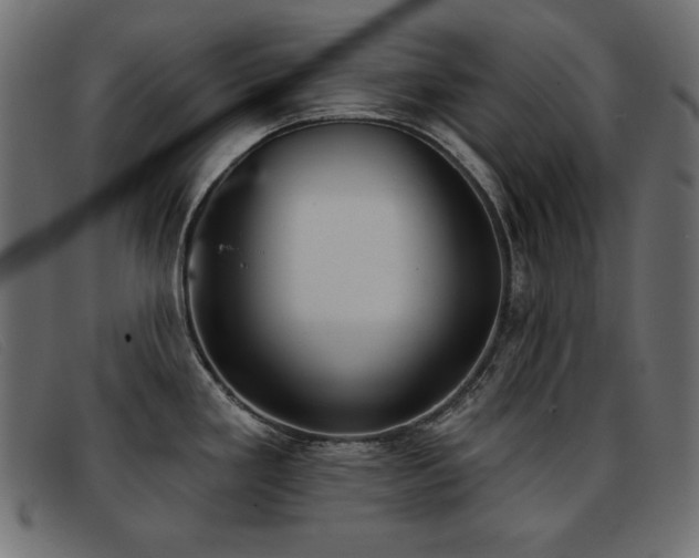 X0000093361293200710111448