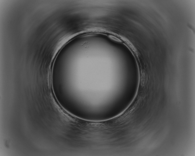 X0000093361295200710111448