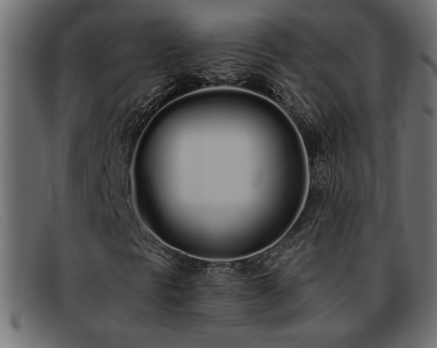 X0000093361297200710111447