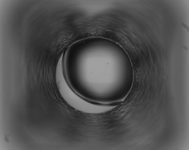X0000093361298200710111447