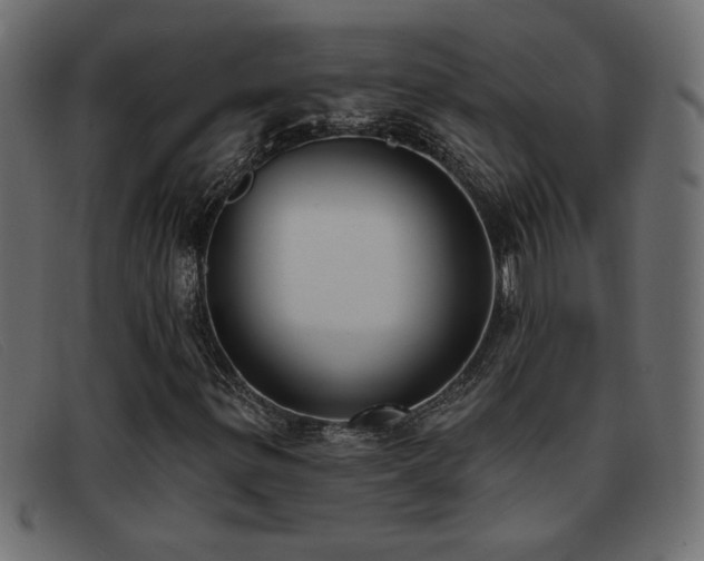 X0000093361299200710111447