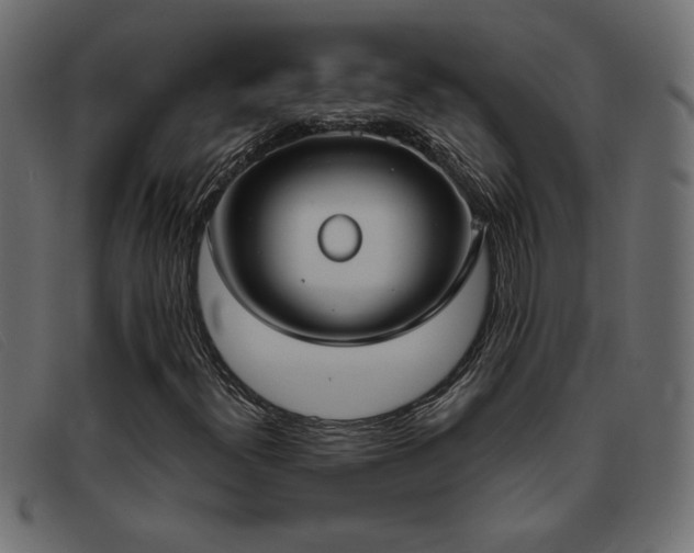 X0000093361300200710111447