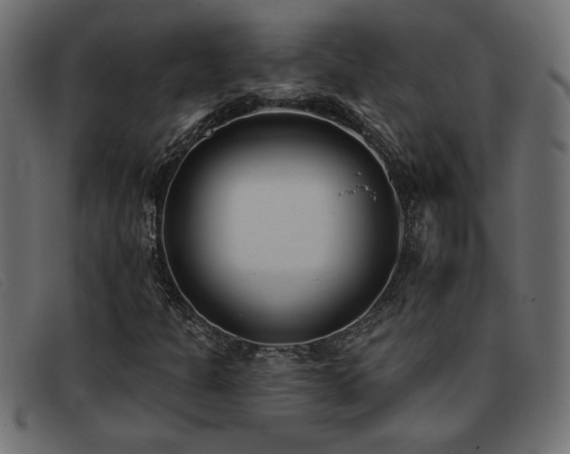 X0000093361301200710111447