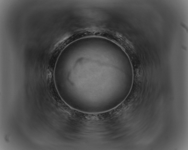 X0000093361302200710111447
