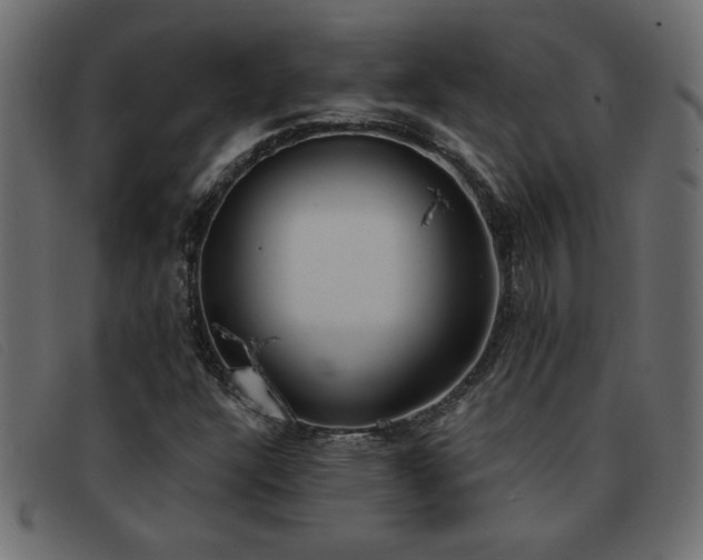 X0000093361304200710111447