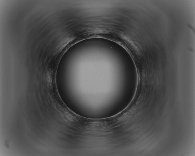 X0000093361305200710111447