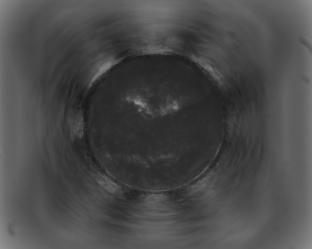 X0000093361306200710111447