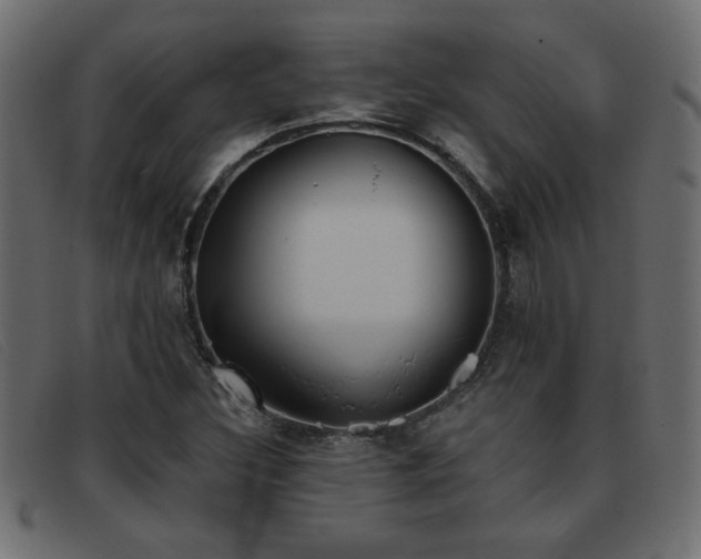 X0000093361308200710111447