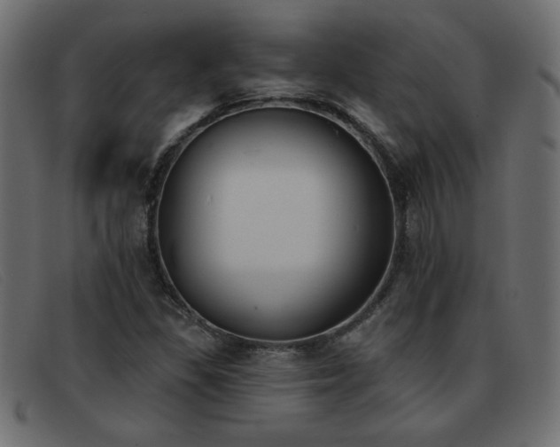 X0000093361309200710111447