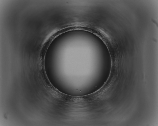 X0000093361310200710111447