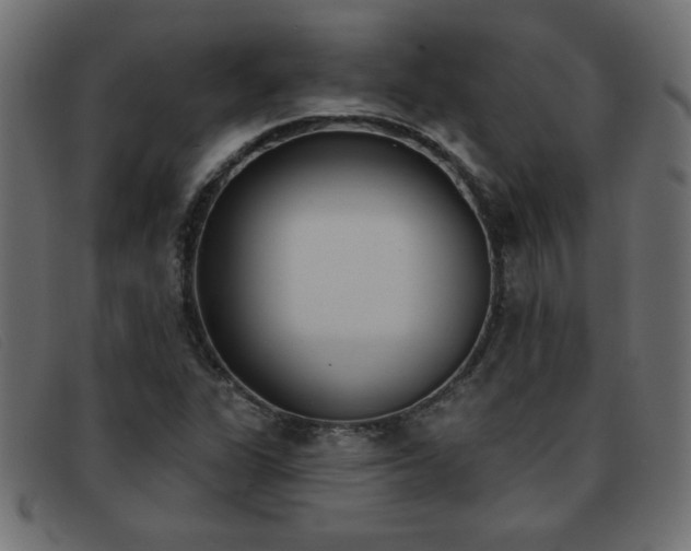 X0000093361311200710111447