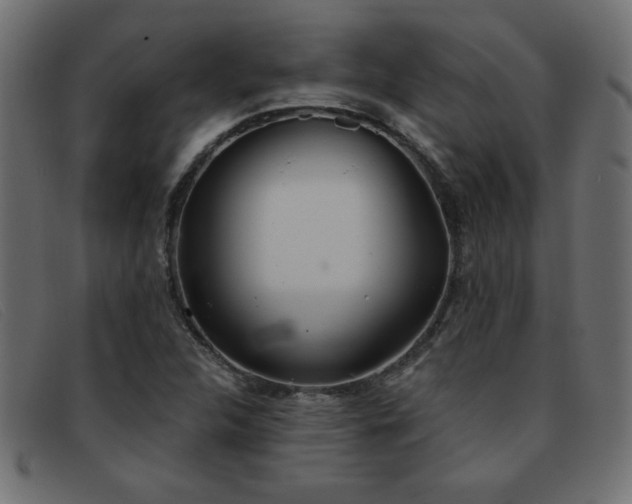 X0000093361312200710111447
