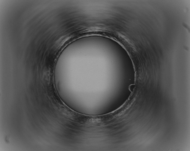 X0000093361313200710111447