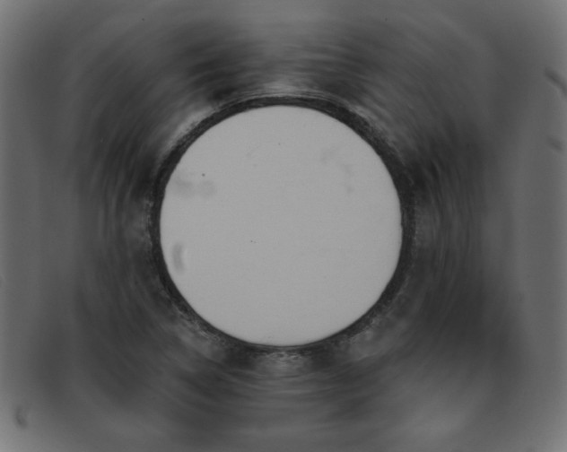 X0000093361314200710111447