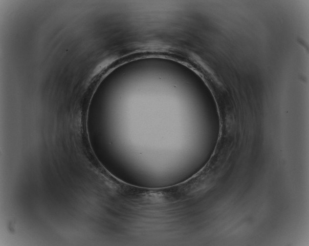 X0000093361315200710111447
