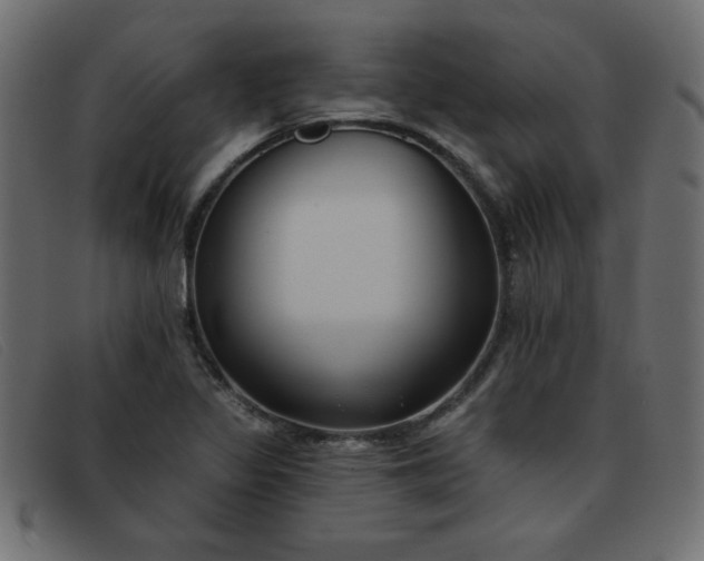 X0000093361317200710111447