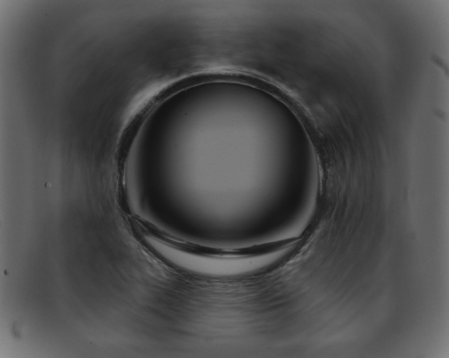 X0000093361319200710111447