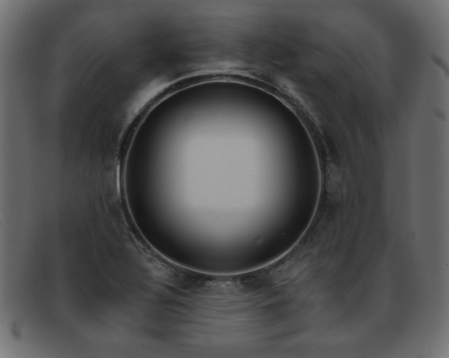 X0000093361320200710111447
