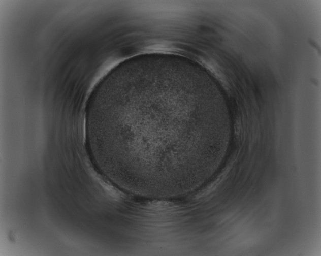 X0000093361323200710111447