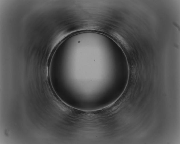 X0000093361324200710111447