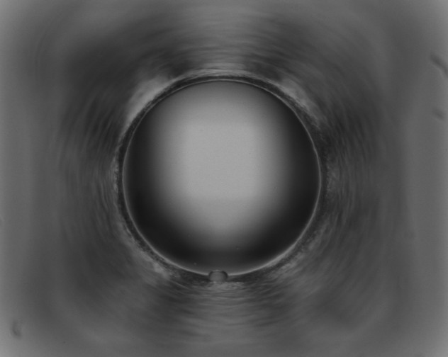 X0000093361325200710111447