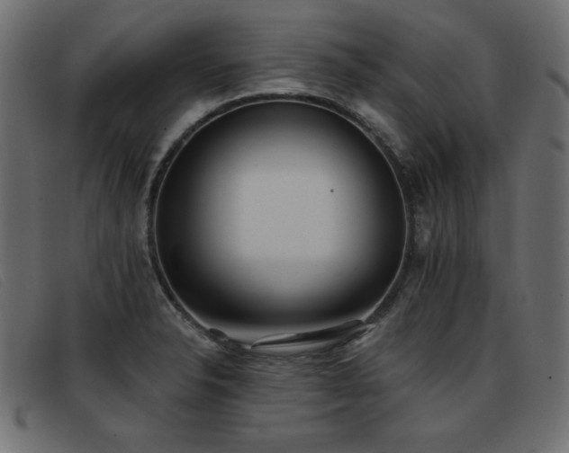X0000093361326200710111447