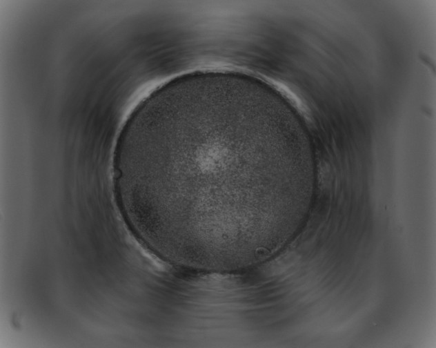 X0000093361327200710111447