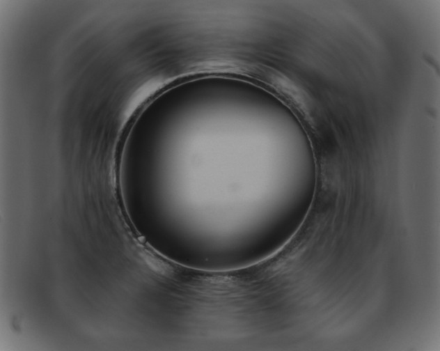 X0000093361328200710111447
