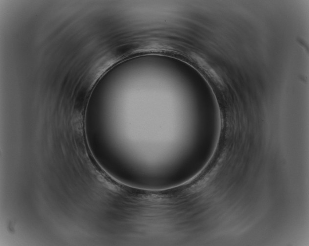 X0000093361329200710111447