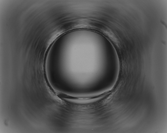 X0000093361330200710111447