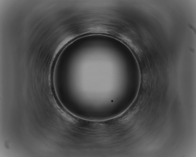 X0000093361331200710111447