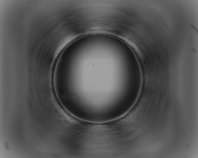 X0000093361333200710111447