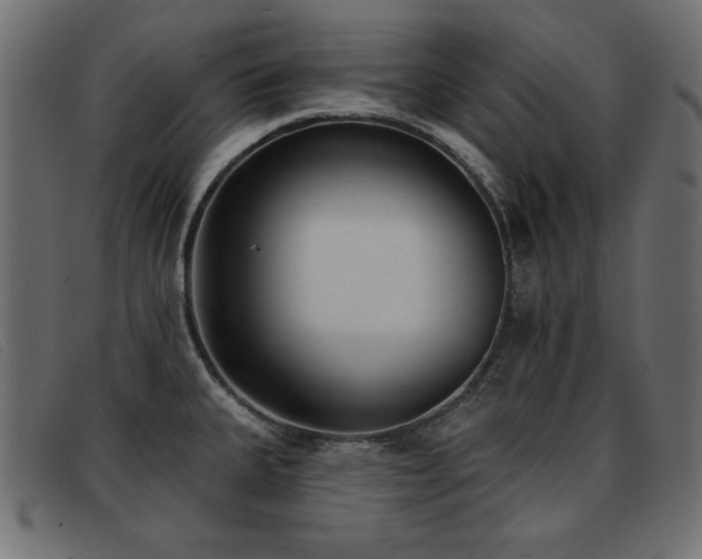 X0000093361335200710111448