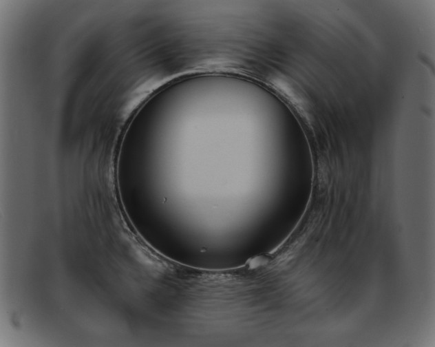 X0000093361336200710111448