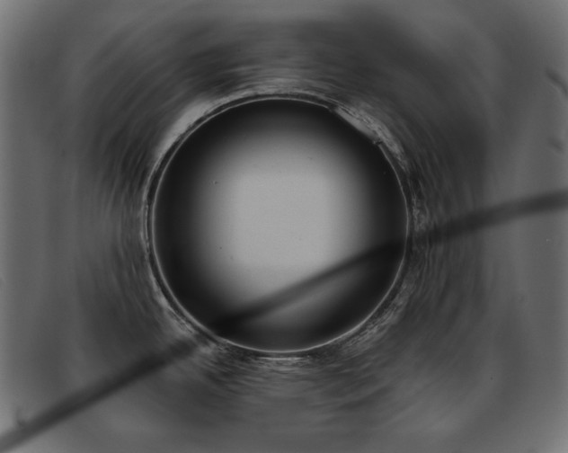 X0000093361342200710111448