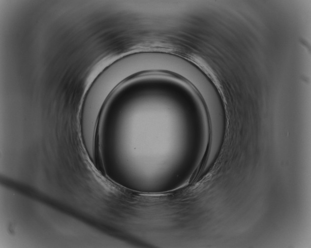 X0000093361344200710111448