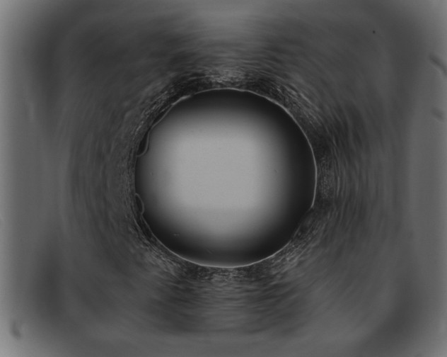 X0000093361345200710111447