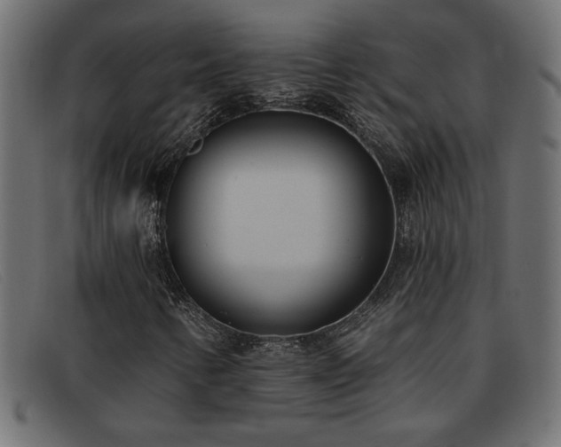 X0000093361346200710111447