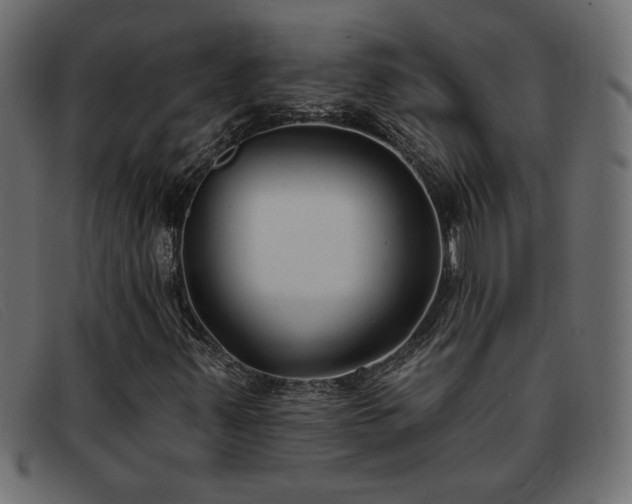 X0000093361347200710111447