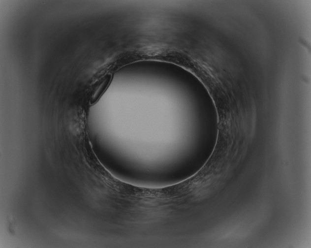 X0000093361349200710111447