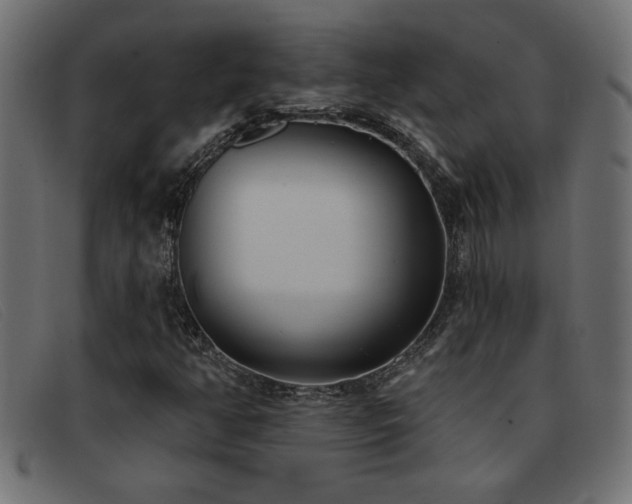 X0000093361350200710111447