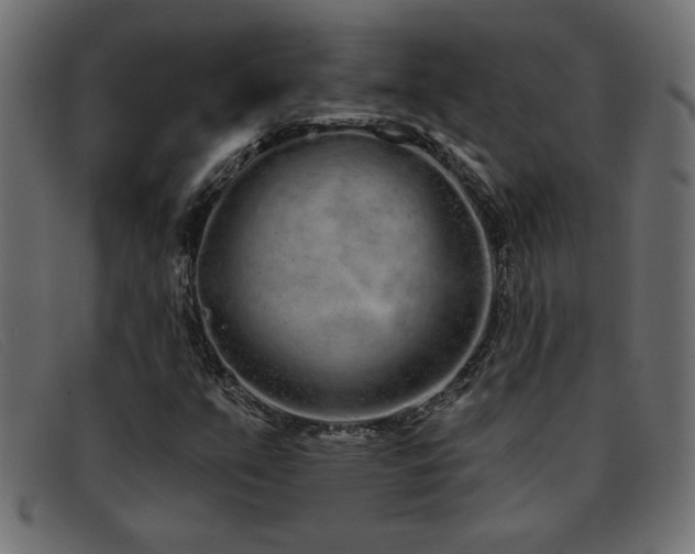 X0000093361351200710111447