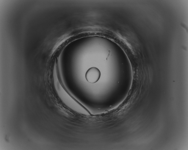 X0000093361352200710111447