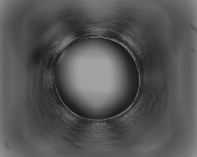 X0000093361354200710111447