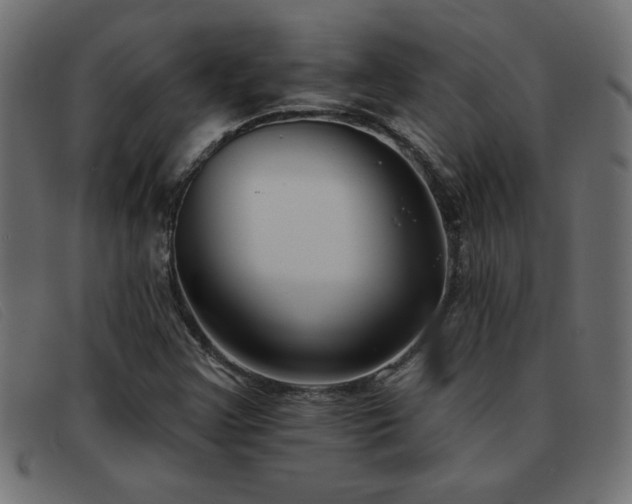 X0000093361355200710111447