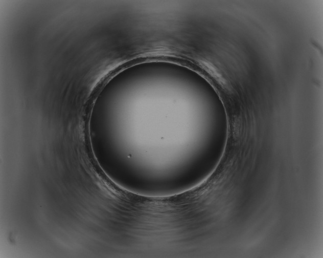X0000093361356200710111447