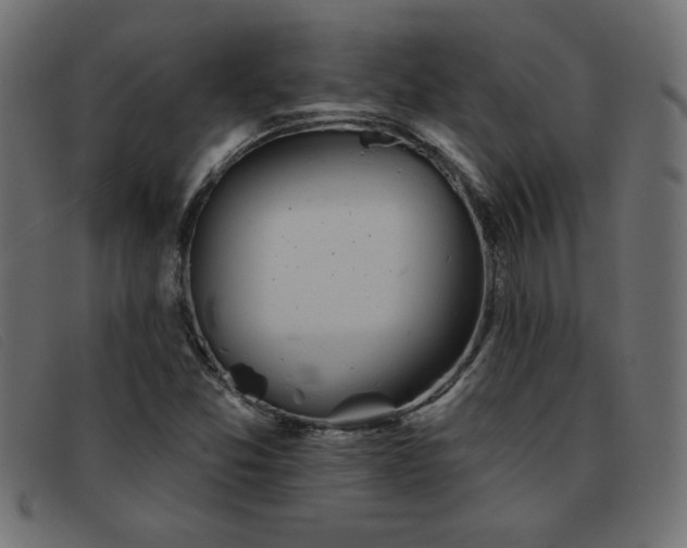 X0000093361357200710111447