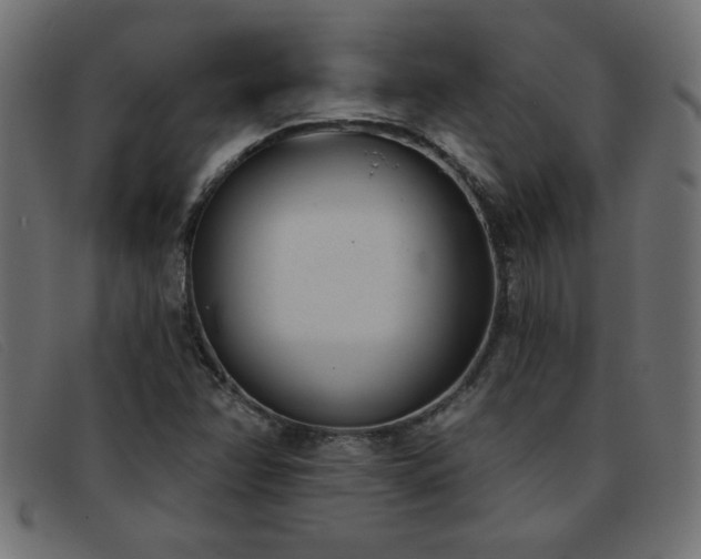 X0000093361358200710111447