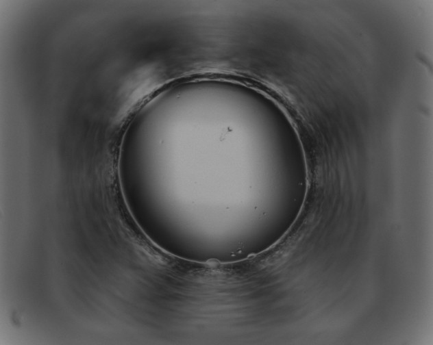 X0000093361359200710111447