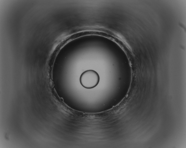 X0000093361360200710111447